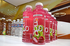 LOVE IS ALL YOU NEED